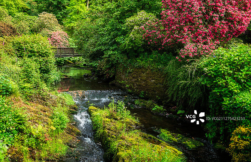 夏天欧洲英国北威尔士博德南特花园园林景观图片素材