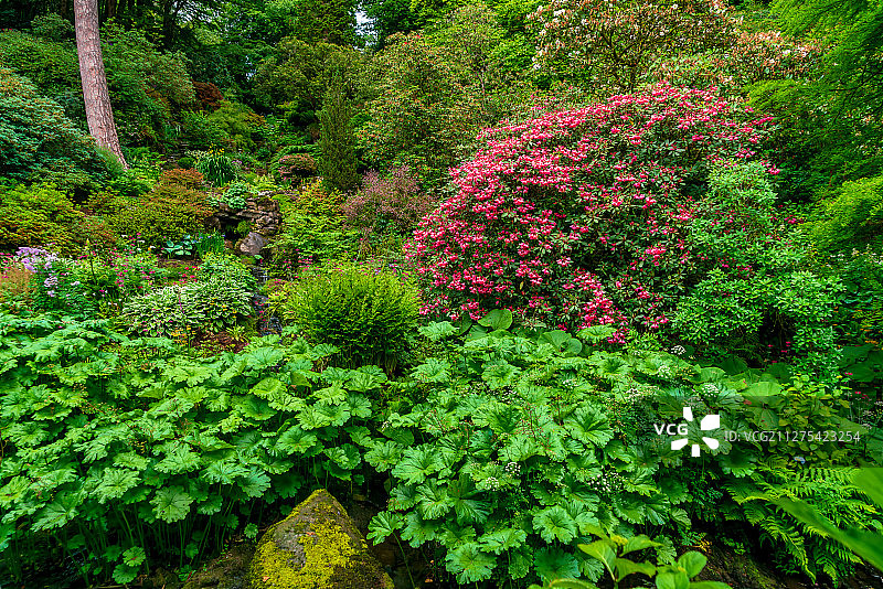 夏天欧洲英国北威尔士博德南特花园园林景观图片素材