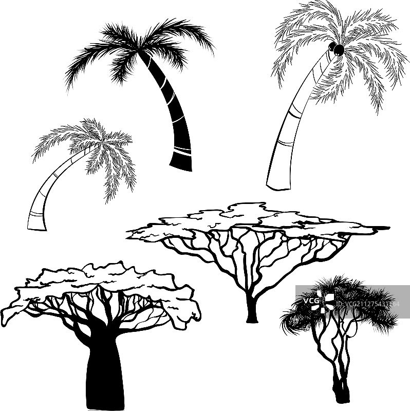 非洲树木黑白剪影图片素材