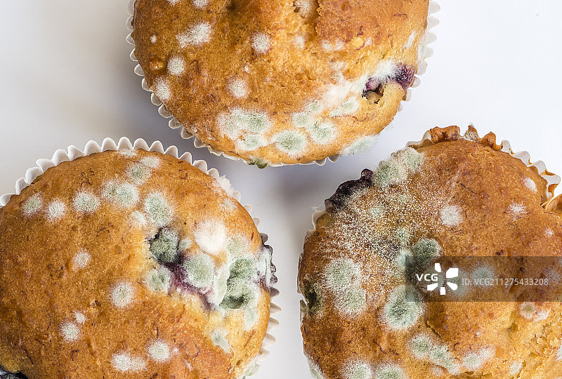 发霉的松饼上的真菌特写图片素材