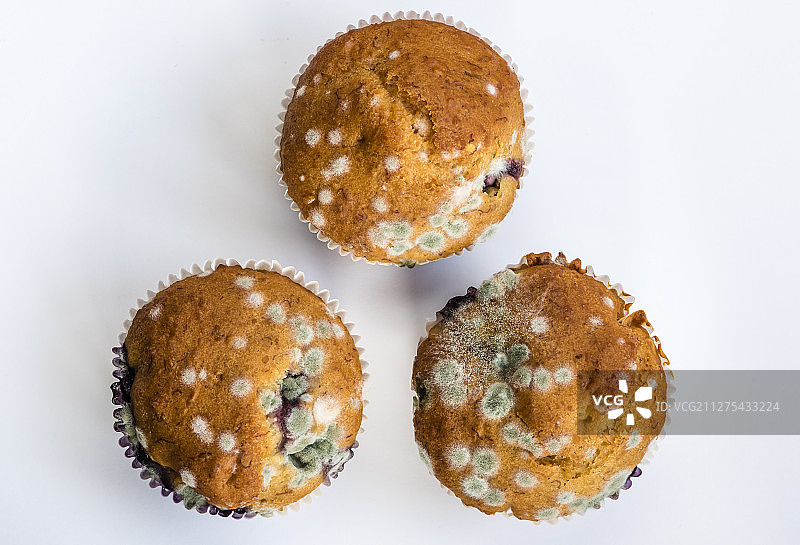 发霉的松饼上的真菌特写图片素材