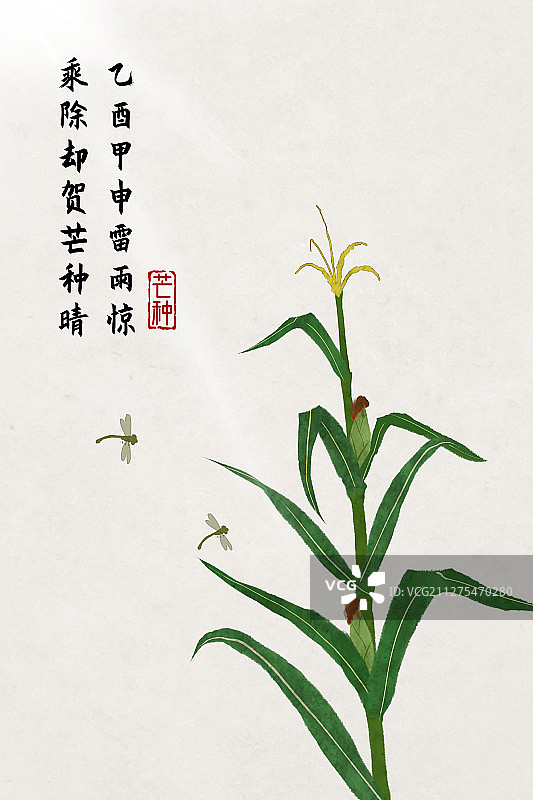 中国风二十四节气插画芒种图片素材