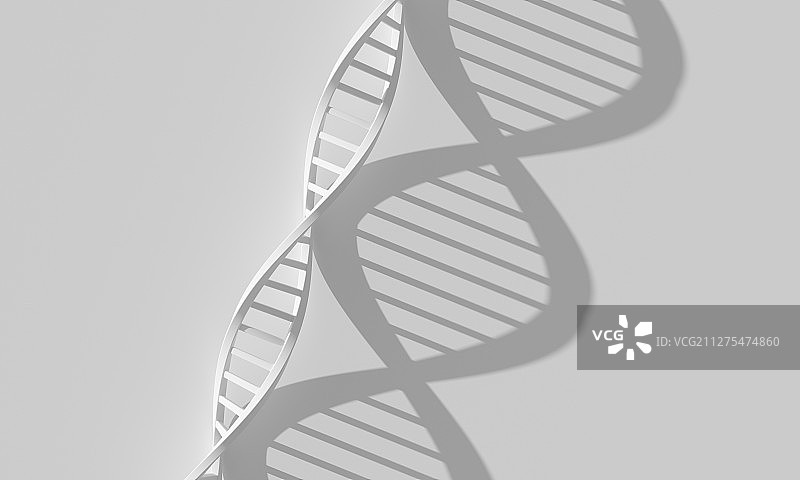 生物医疗概念的三维DNA模型图片素材