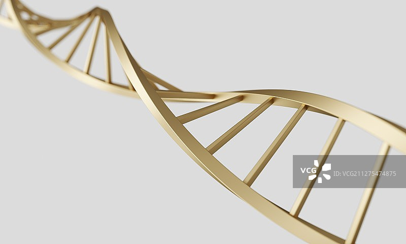 生物医疗概念的三维DNA模型图片素材