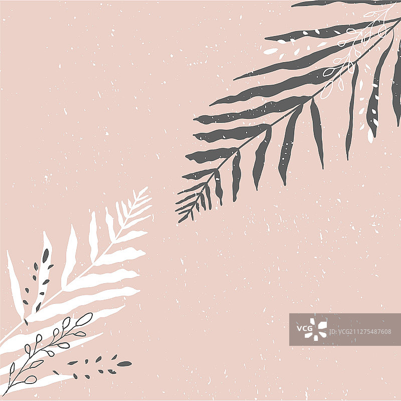 粉色热带花卉图案图片素材