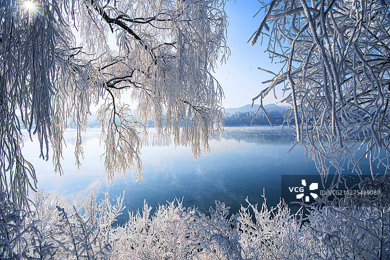 吉林市松花江畔雾凇图片素材