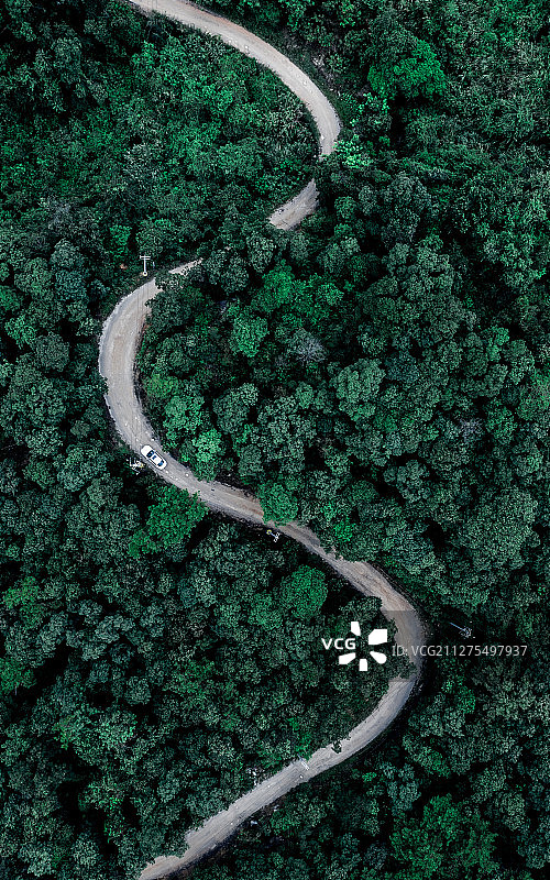 车辆行驶在树林中，山路蜿蜒曲折像是数字3图片素材