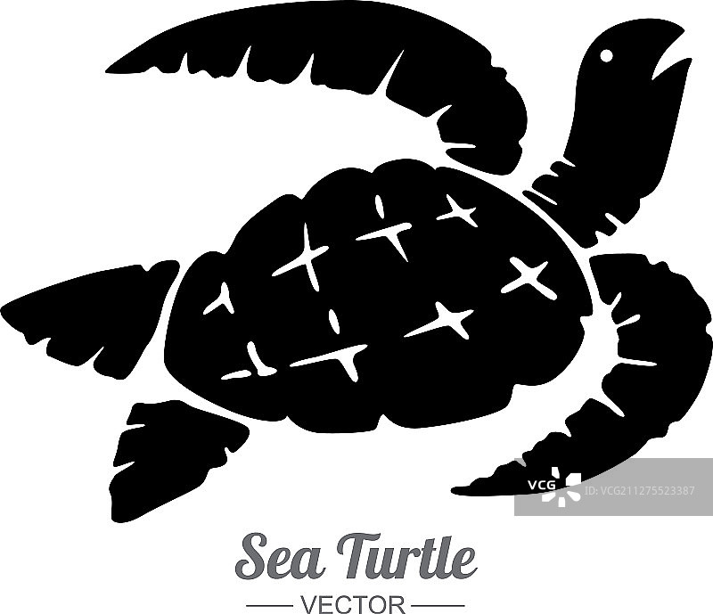 白色背景上的黑色海龟图片素材