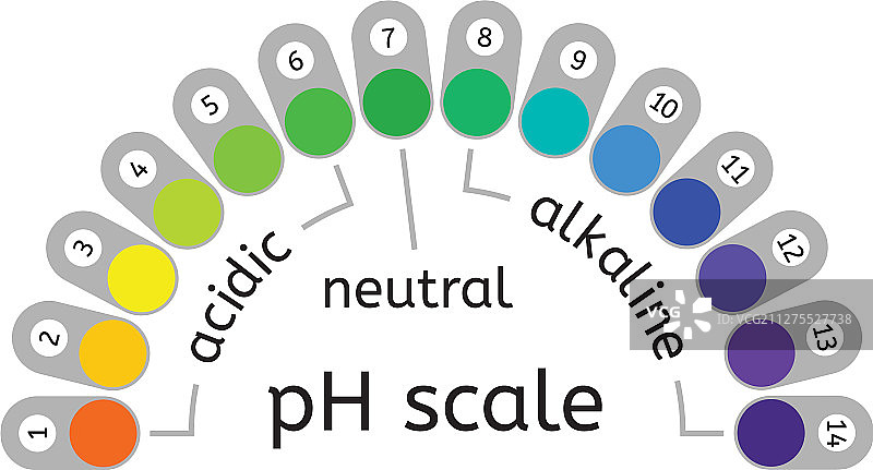 pH值刻度测量图片素材