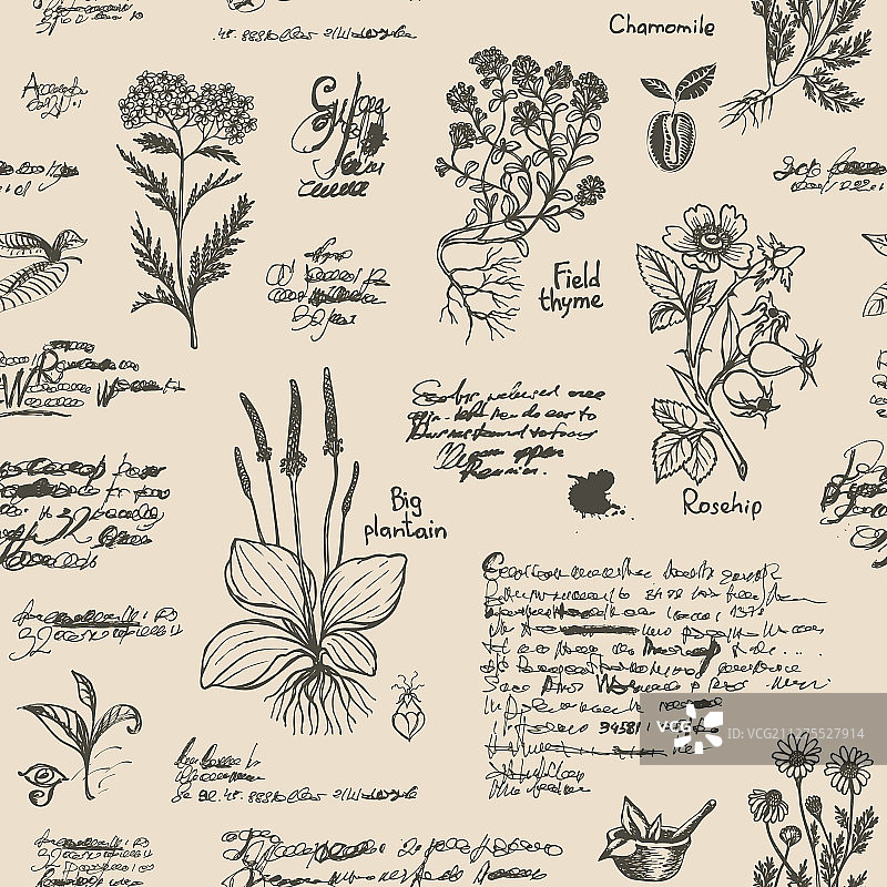 草药医学主题无缝图案图片素材