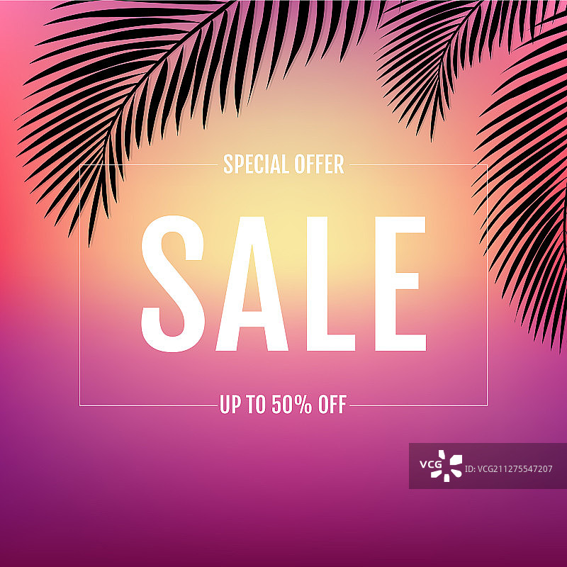 棕榈叶夏季banner图片素材