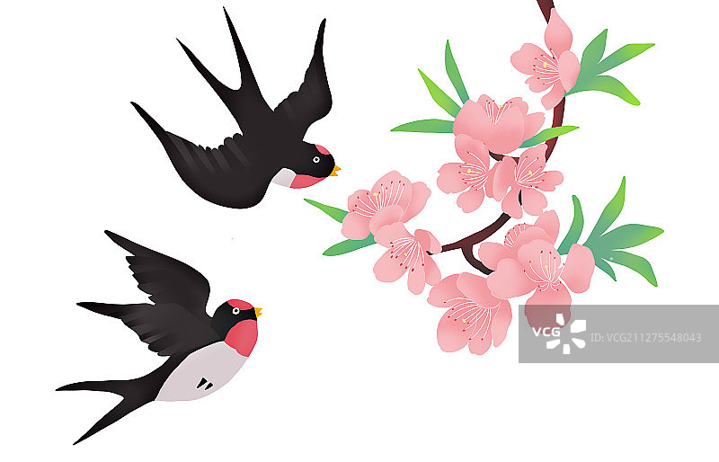 燕子双飞，桃花盛开的春天插图图片素材