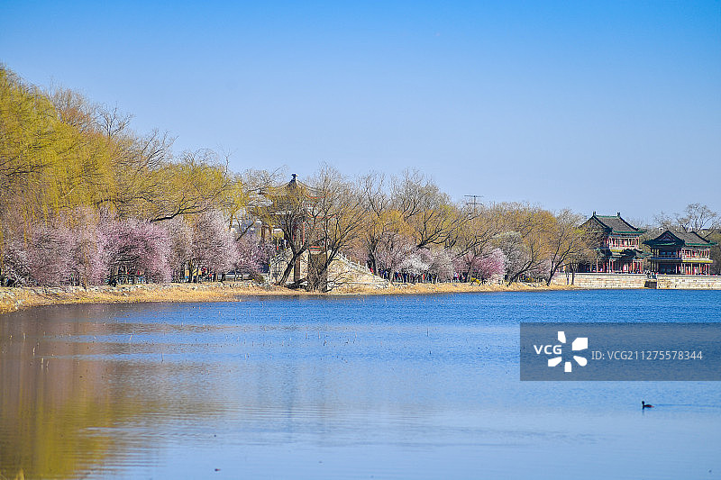 北京颐和园西堤春晓风光图片素材