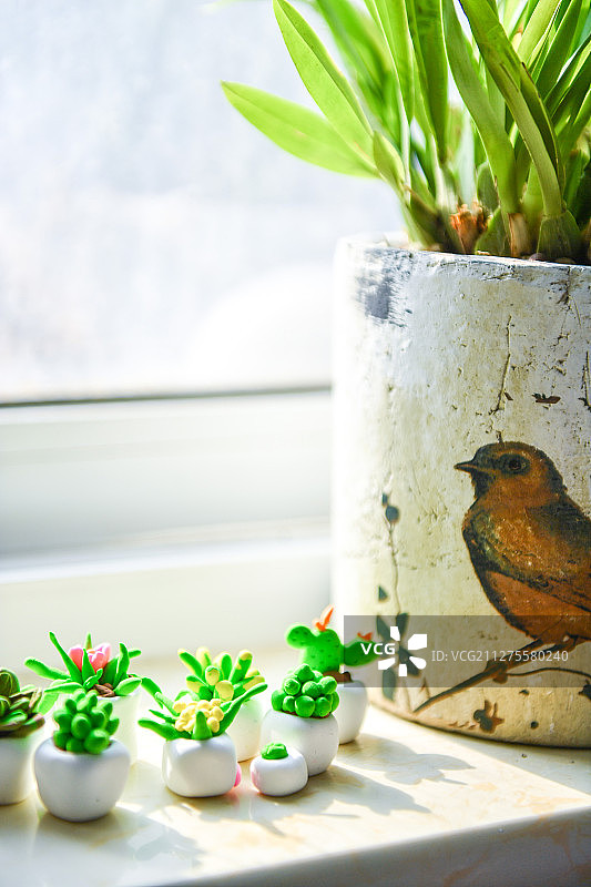 窗台上的彩泥塑植物图片素材