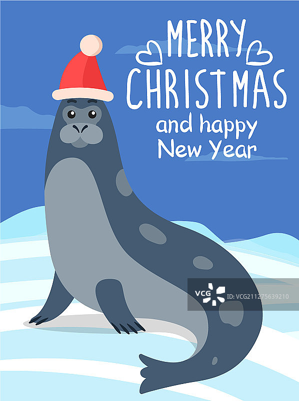 海豹圣诞贺卡图片素材