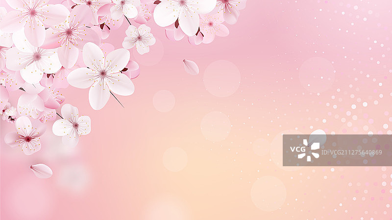 樱花N 1图片素材