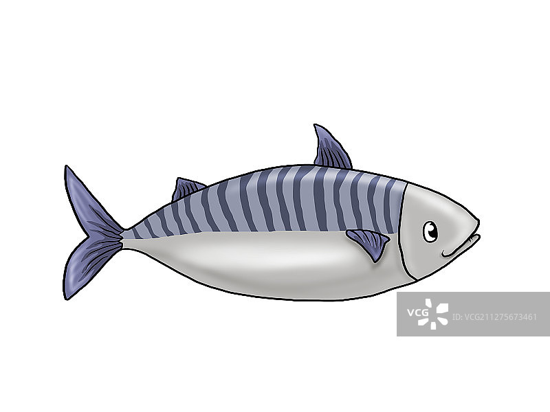 食材，食物，海鱼，煎鸡蛋，汉堡包，南瓜，乌贼，海虹图片素材