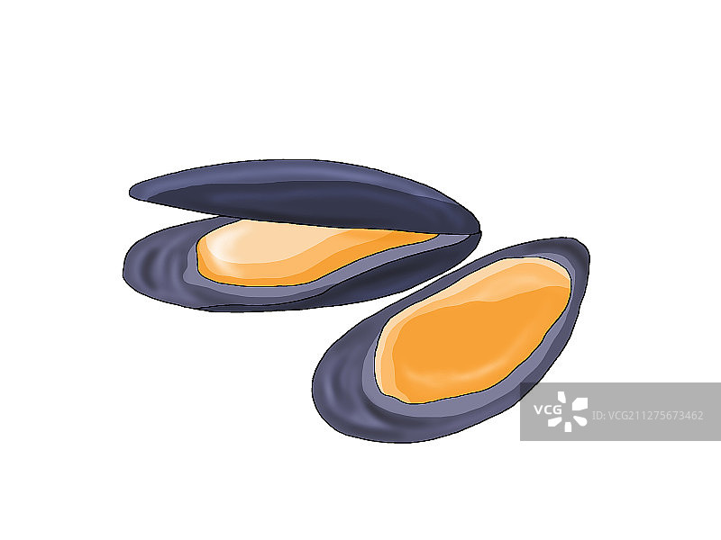 食材，食物，海鱼，煎鸡蛋，汉堡包，南瓜，乌贼，海虹图片素材