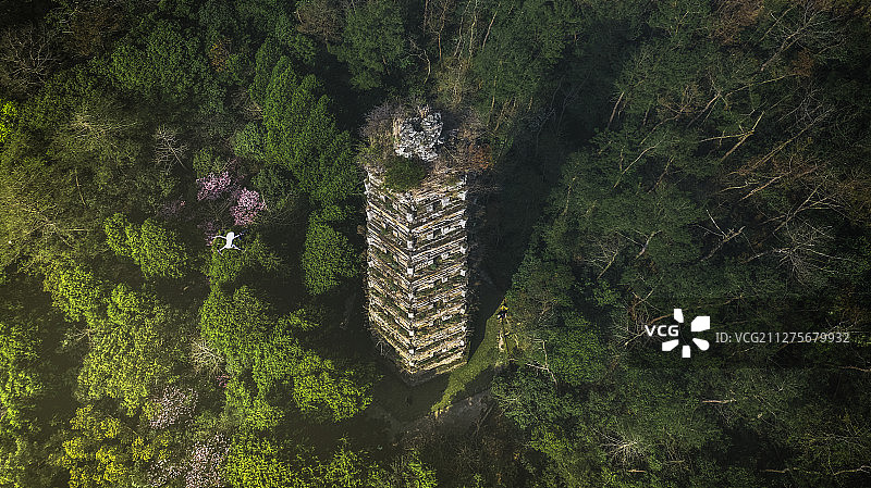 遇见隋塔图片素材