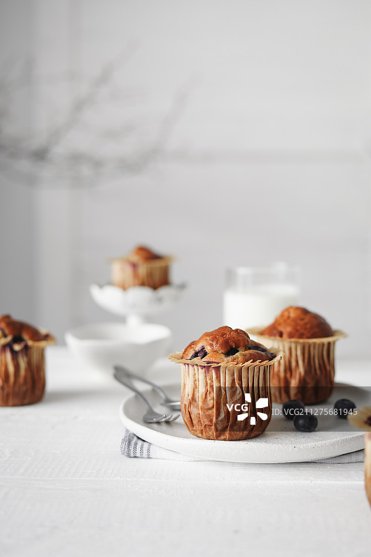 蓝莓玛芬（Cupcake）图片素材