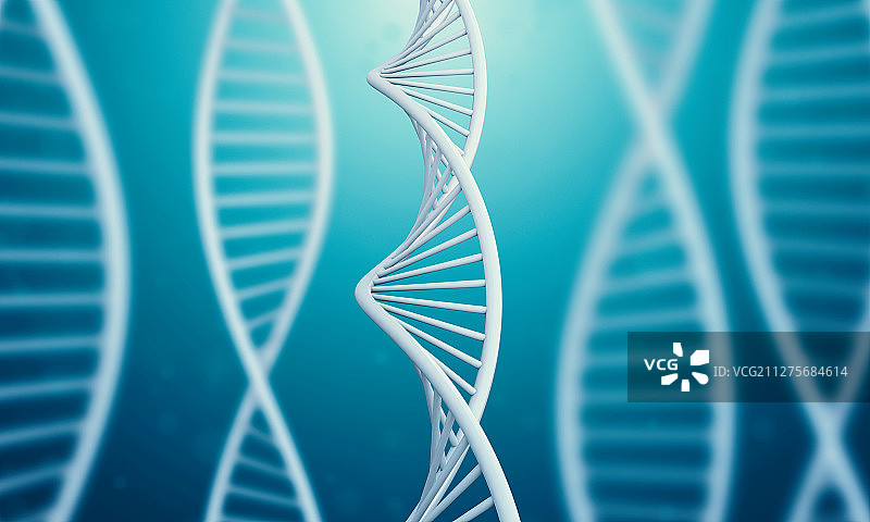 蓝色液体中漂浮的DNA双链模型图片素材
