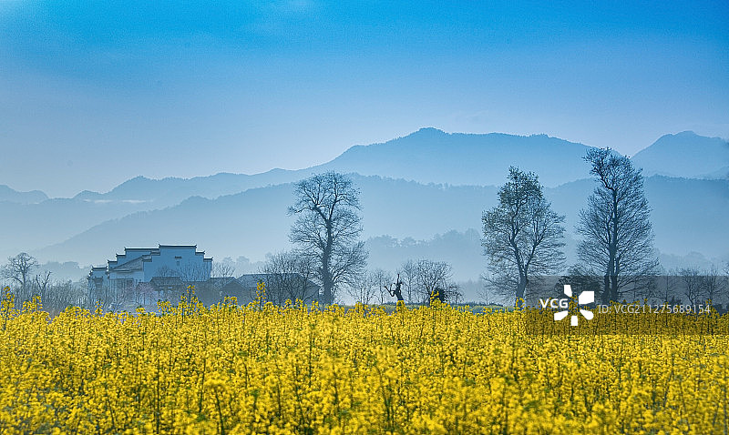 卢村的早晨图片素材