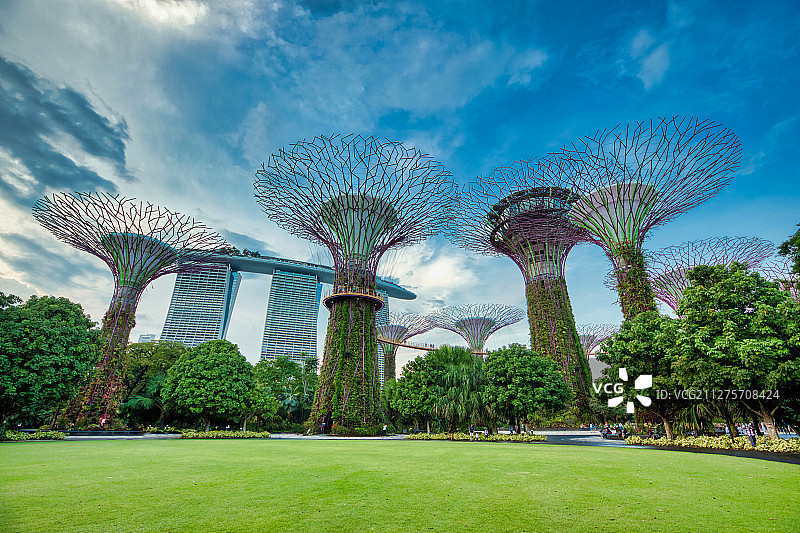 蓝天白云下的新加坡超级树公园和金沙酒店图片素材