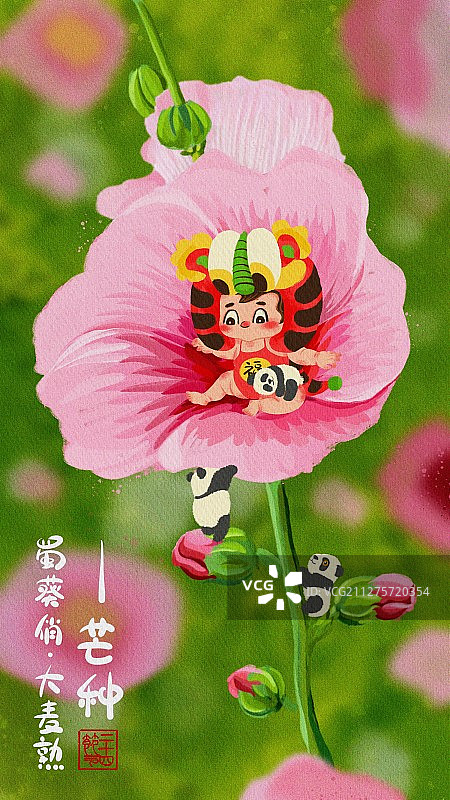 二十四节气-芒种图片素材