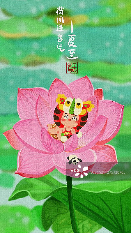 二十四节气-夏至图片素材