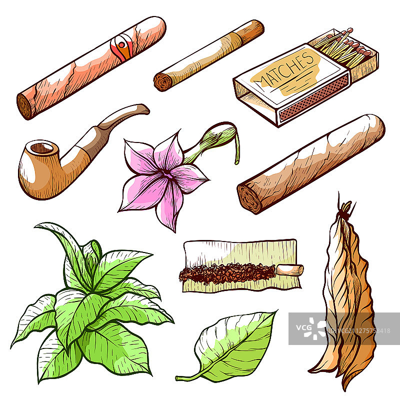 手绘雪茄和烟草图片素材