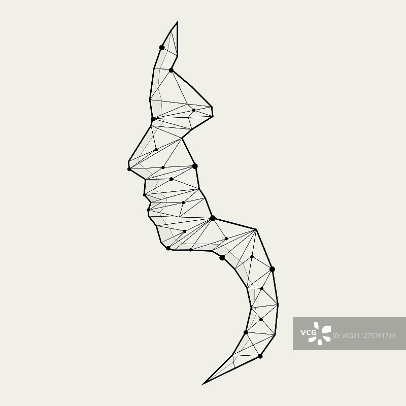 人像头部图片素材