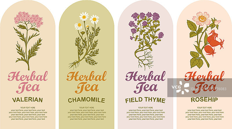 草药茶标签四款图片素材
