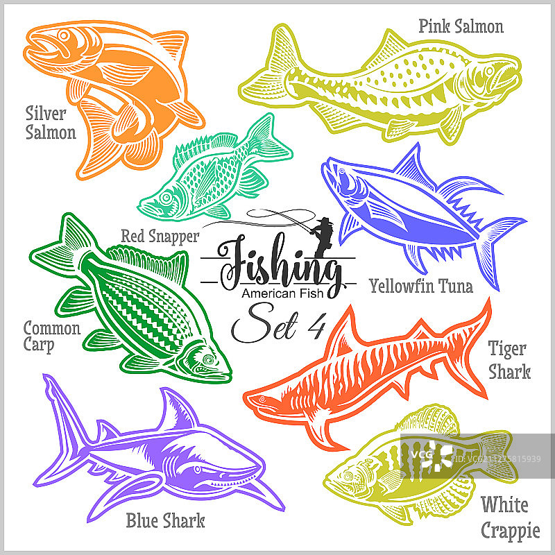 创意设计美国鱼类素材图片素材