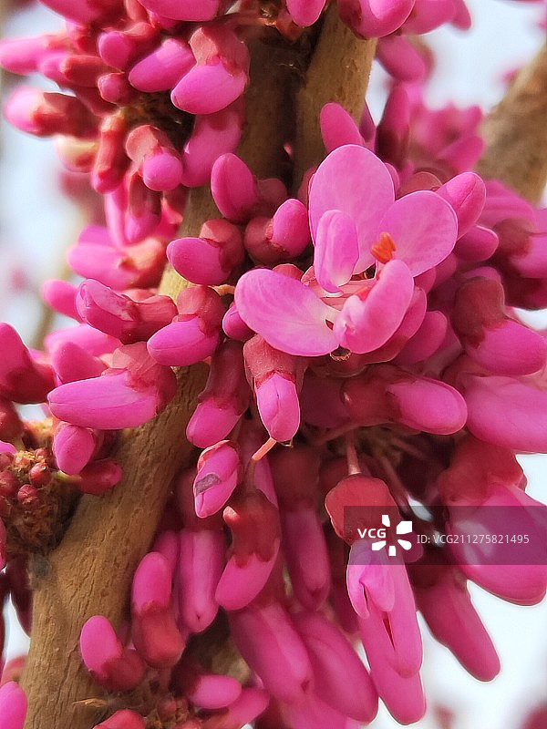 抢占先机图片素材