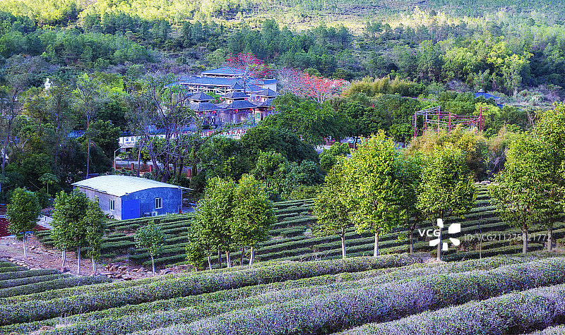 海丰莲花山春色 广东汕尾图片素材