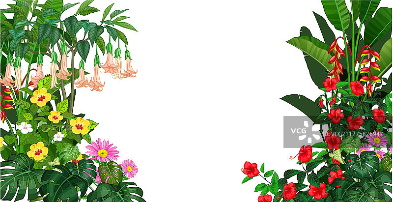 美丽的热带植物卡通合集图片素材