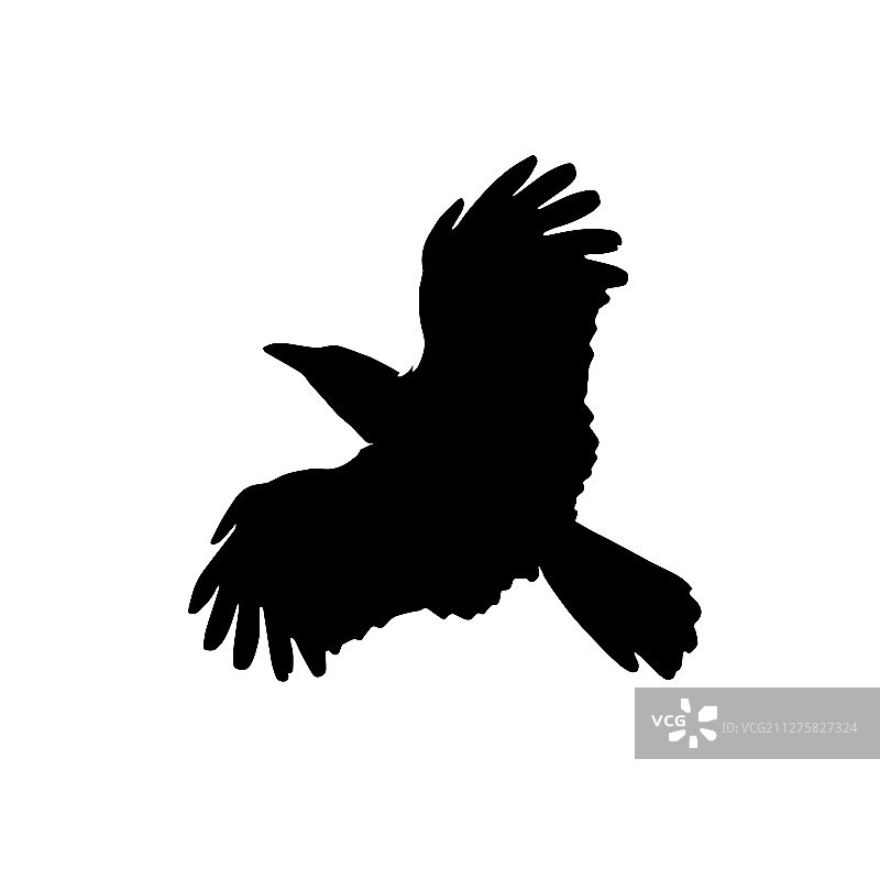 乌鸦剪影图片素材