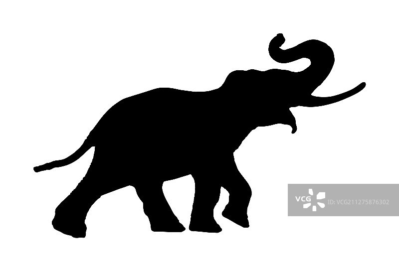 大象剪影轮廓图片素材