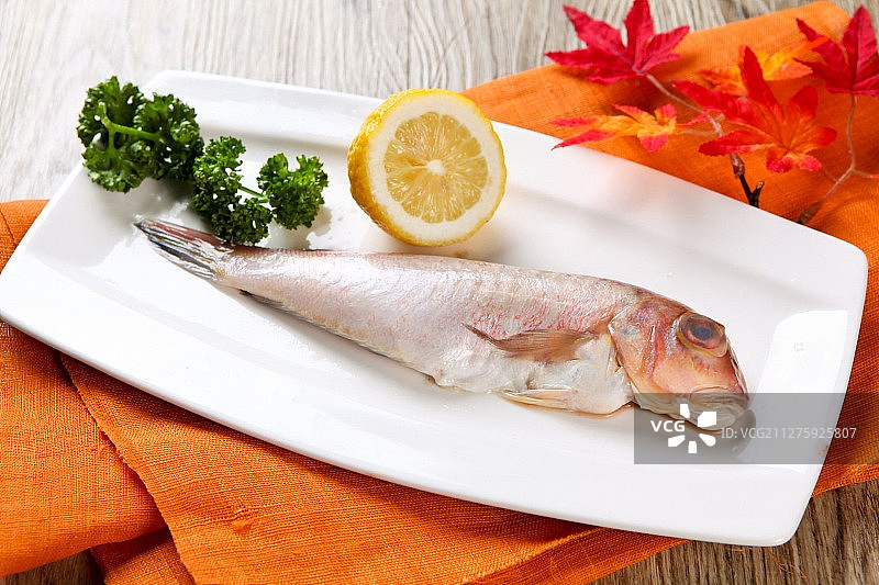 方头鱼图片素材