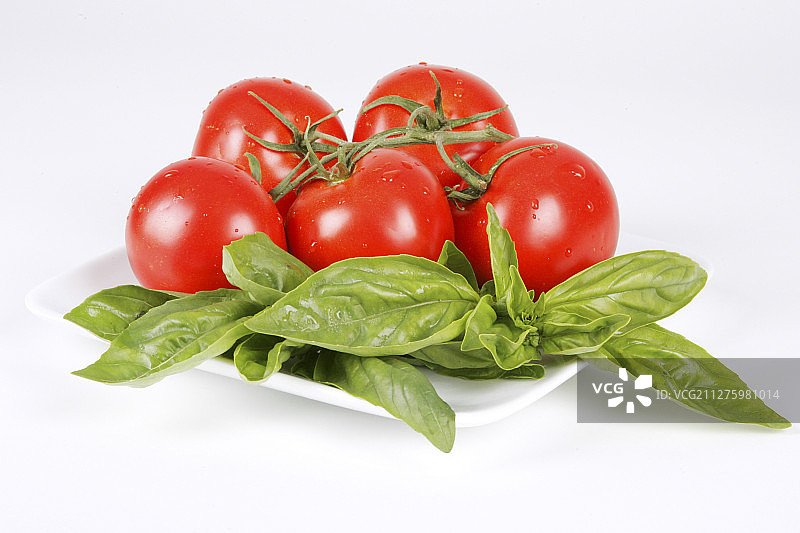 番茄和罗勒图片素材