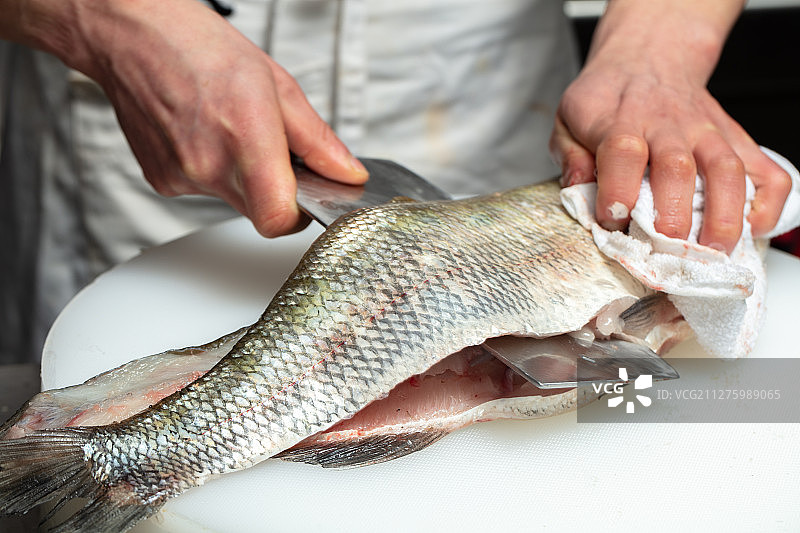 刀切白水鱼图片素材