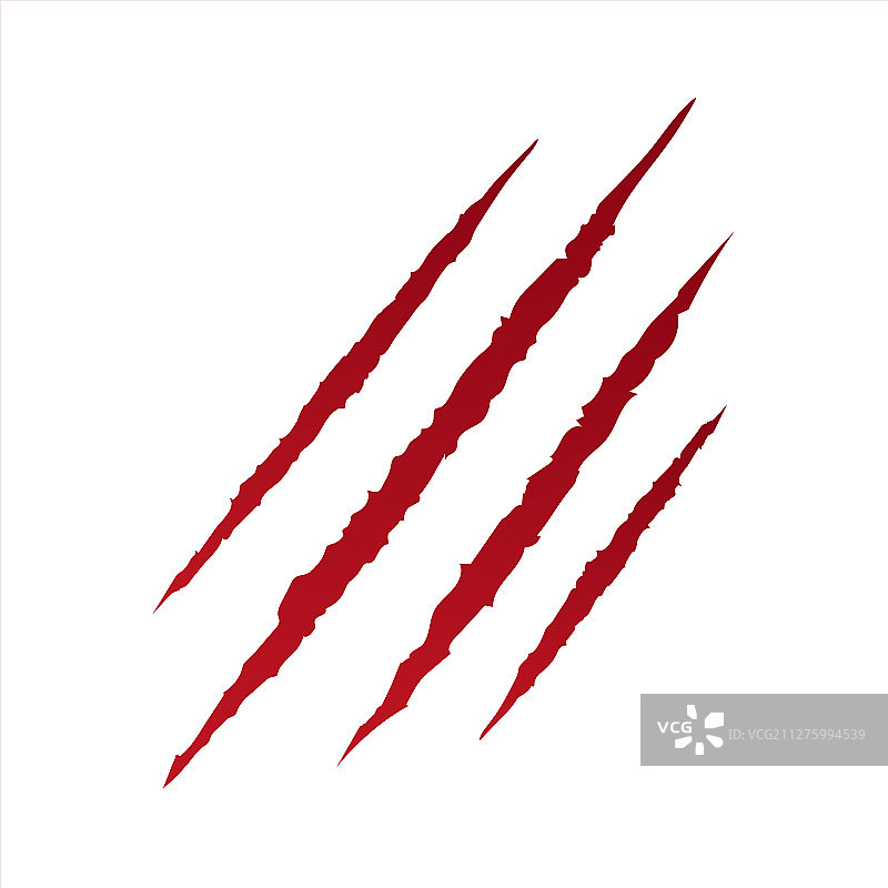 野生动物的抓痕图片素材