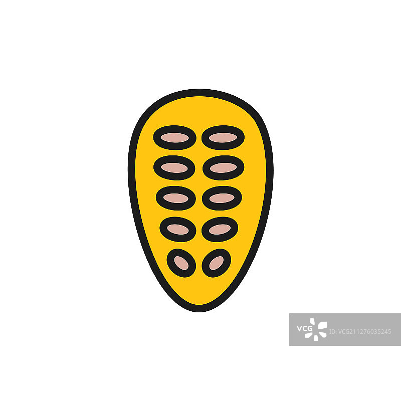 可可豆扁平风格彩色图标，白色背景图片素材