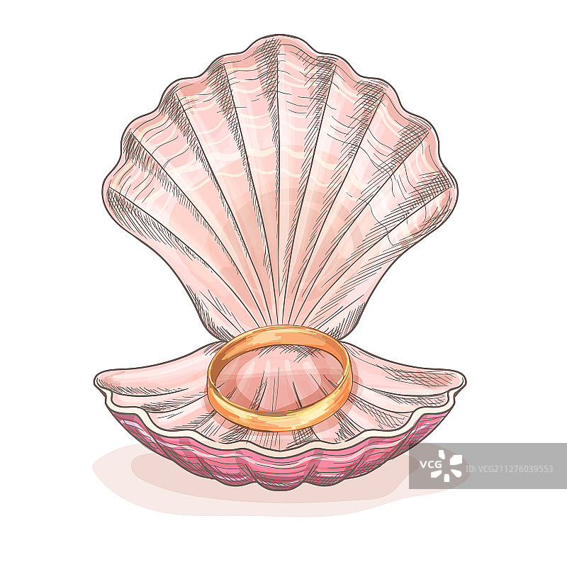 海螺里的金色结婚戒指图片素材