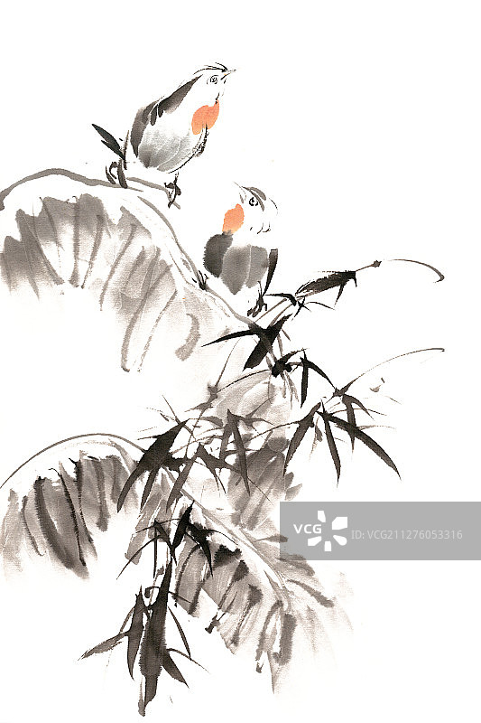 芭蕉竹子小鸟图片素材