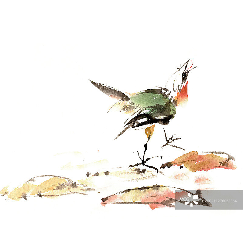 抬头鸣叫的小鸟图片素材