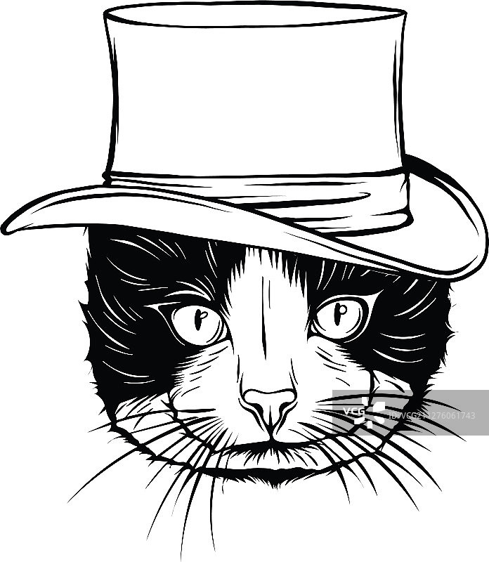戴高帽子的猫动物画像图片素材