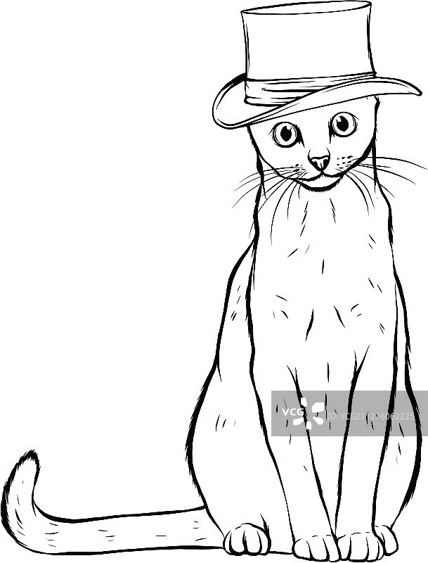 戴高帽子的猫动物画像图片素材
