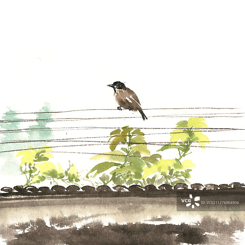 电线上栖息的小鸟图片素材