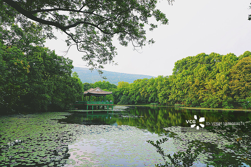 绿野仙踪之流徽榭图片素材